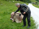 Finkau-Wildgerlostal