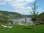 Oberwesel