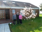 Pension Bommelman