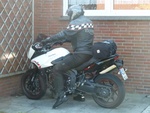 Op de Tigers!!