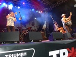 p1010938.jpg