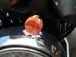 wuppie heeft t gehavend overleefd