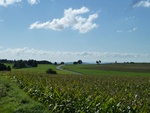 mooi plaatje