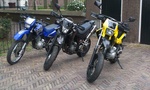 XT-trio