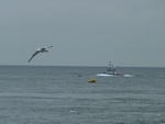 p1020133.jpg