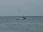 p1020135.jpg