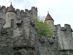 p1020191.jpg