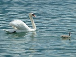 p1020476.jpg