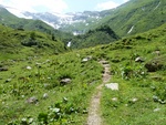 p1020656.jpg